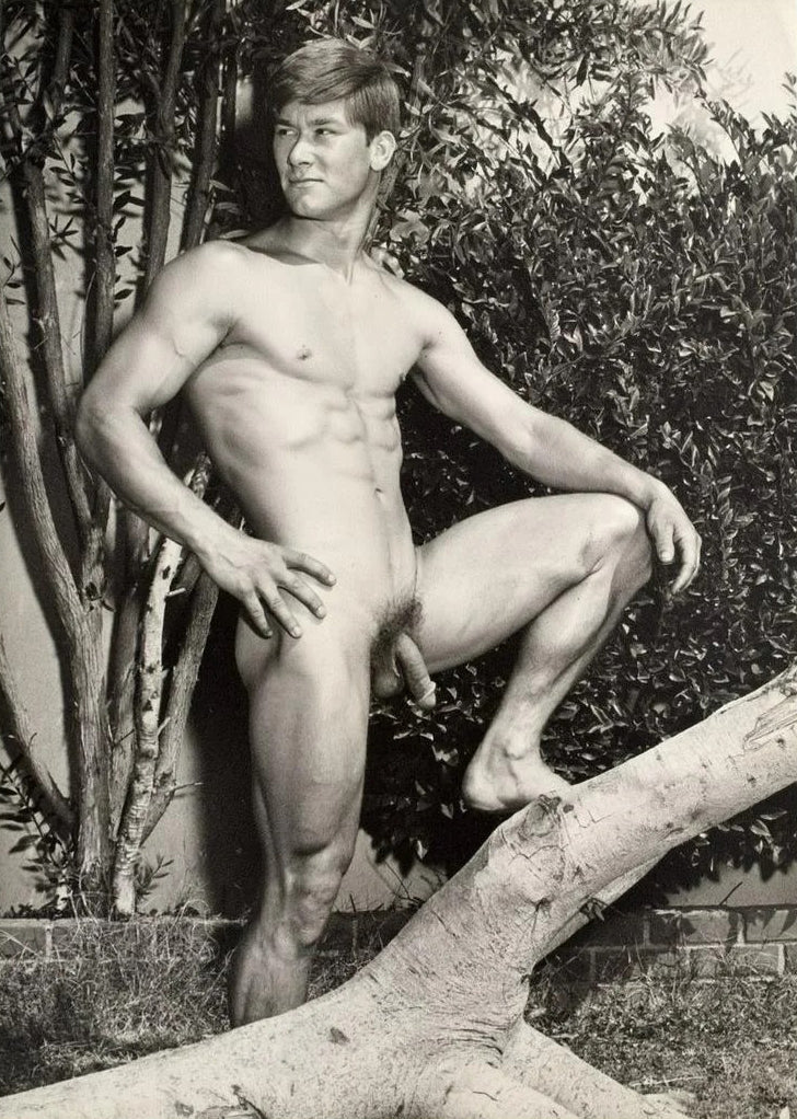 Bruce of Los Angeles Vintage Nude Male Leg up Abs Gay - 17" x 22" Fine Art Print -1703