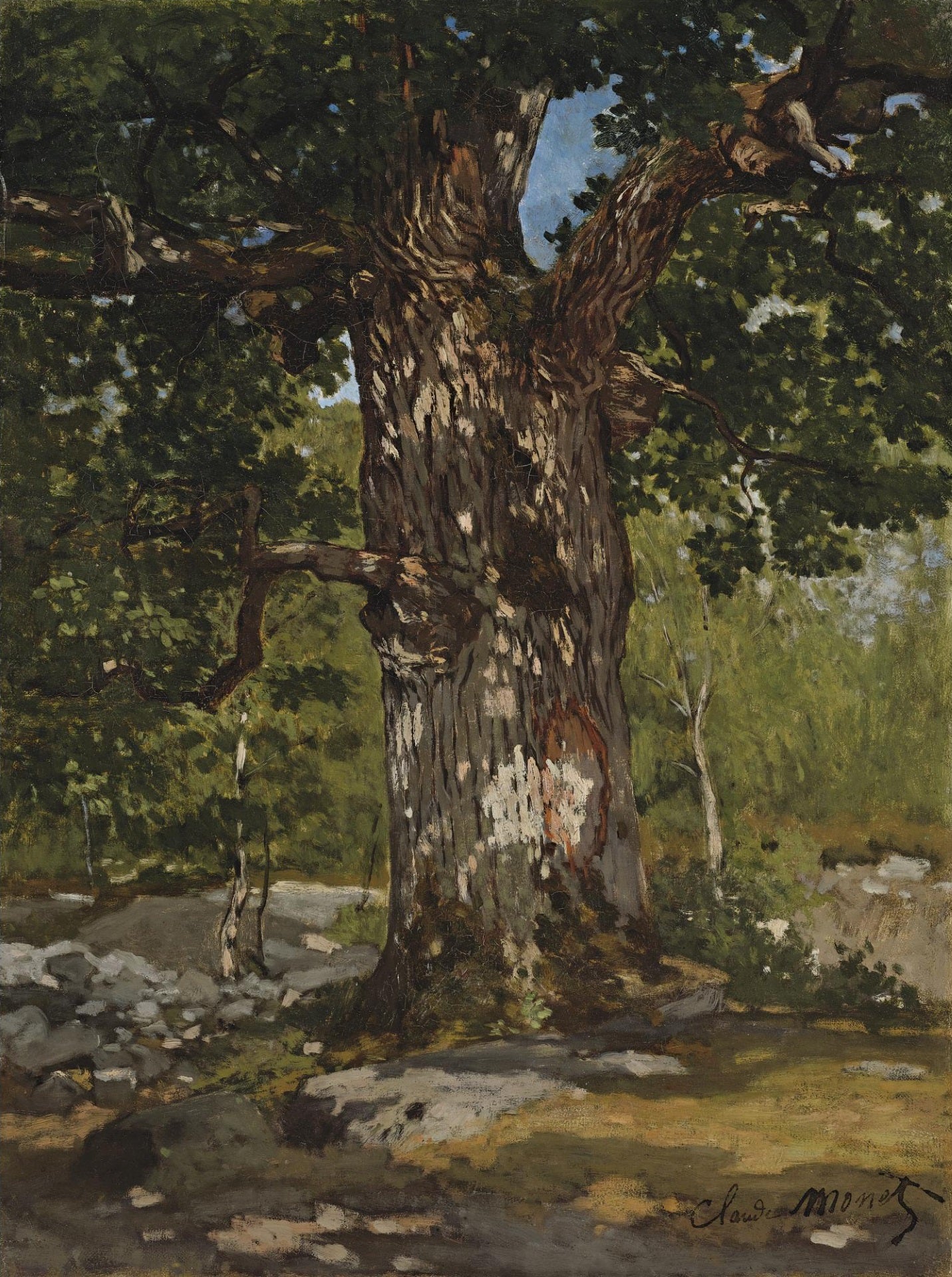 Claude Monet - The Bodmer Oak (1865) Signed - 17" x 22" Fine Art Print