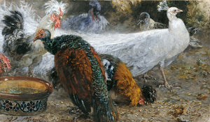 Adolph von Menzel - White Peacock Among Turkeys & Chickens Signed - 17"x22" Fine Art Print