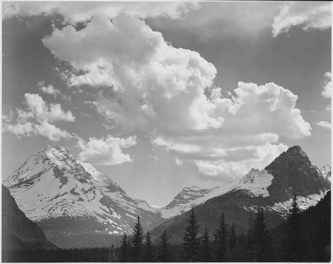 Ansel Adams - Forest Mountains Clouds Glacier Park Montana (1941) - 17" x 22" Print