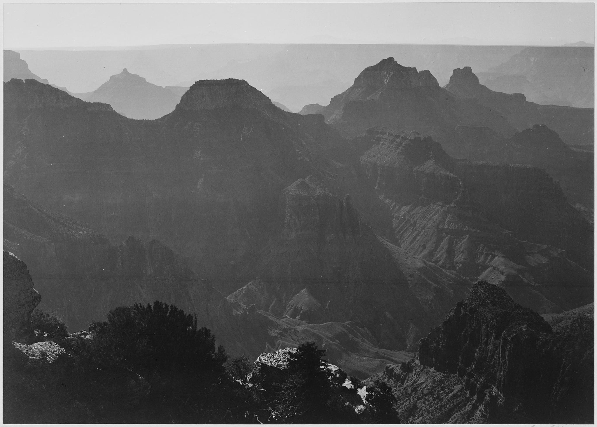 Ansel Adams - Grand Canyon National Park Arizona Shrubs (1941) - 17"x22" Art Print