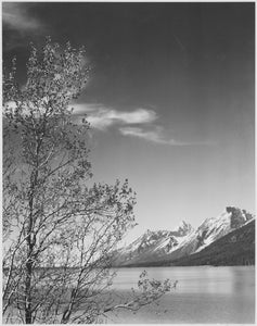 Ansel Adams - Grand Teton Tree National Park (1941) Wyoming - 17" x 22" Art Print