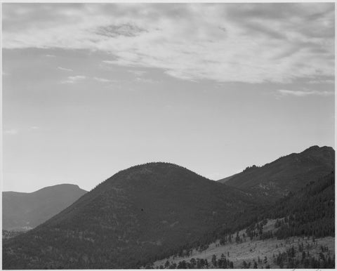 Ansel Adams - Hill with Trees Rocky Mountain Park (1937) -17" x 22" Fine Art Print