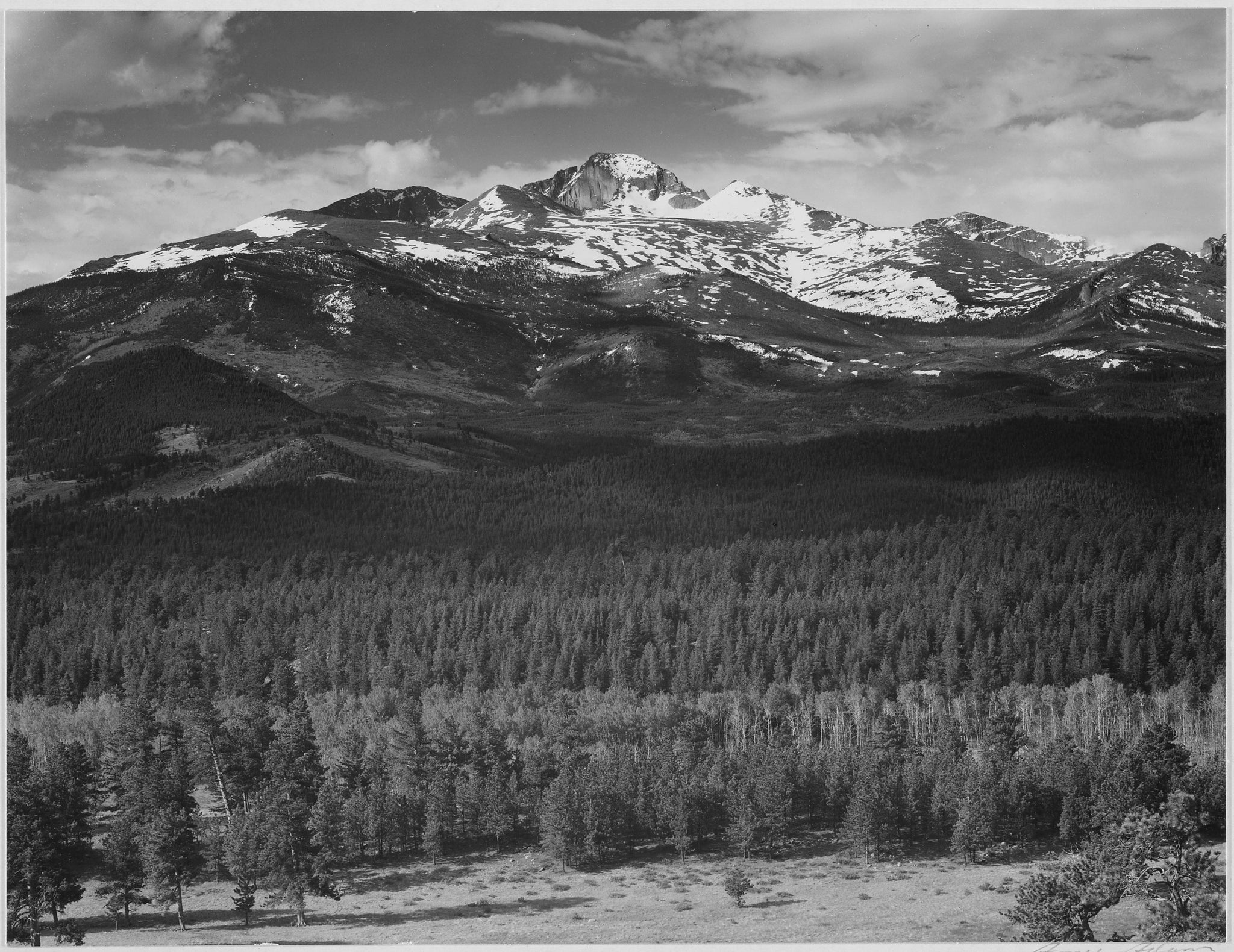 Ansel Adams - Trees & Mountain Long's Peak Colorado (1942) - 17" x 22" Art Print