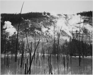 Ansel Adams - Barren Trees Rising from Water Steam Roaring Mountain Yellowstone National Park (1939) - 17"x22" Fine Art Print