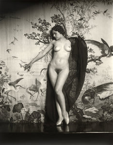 Alfred Cheney Johnston - Nude Female Against Backdrop (1925) - 17" x 22" Art Print