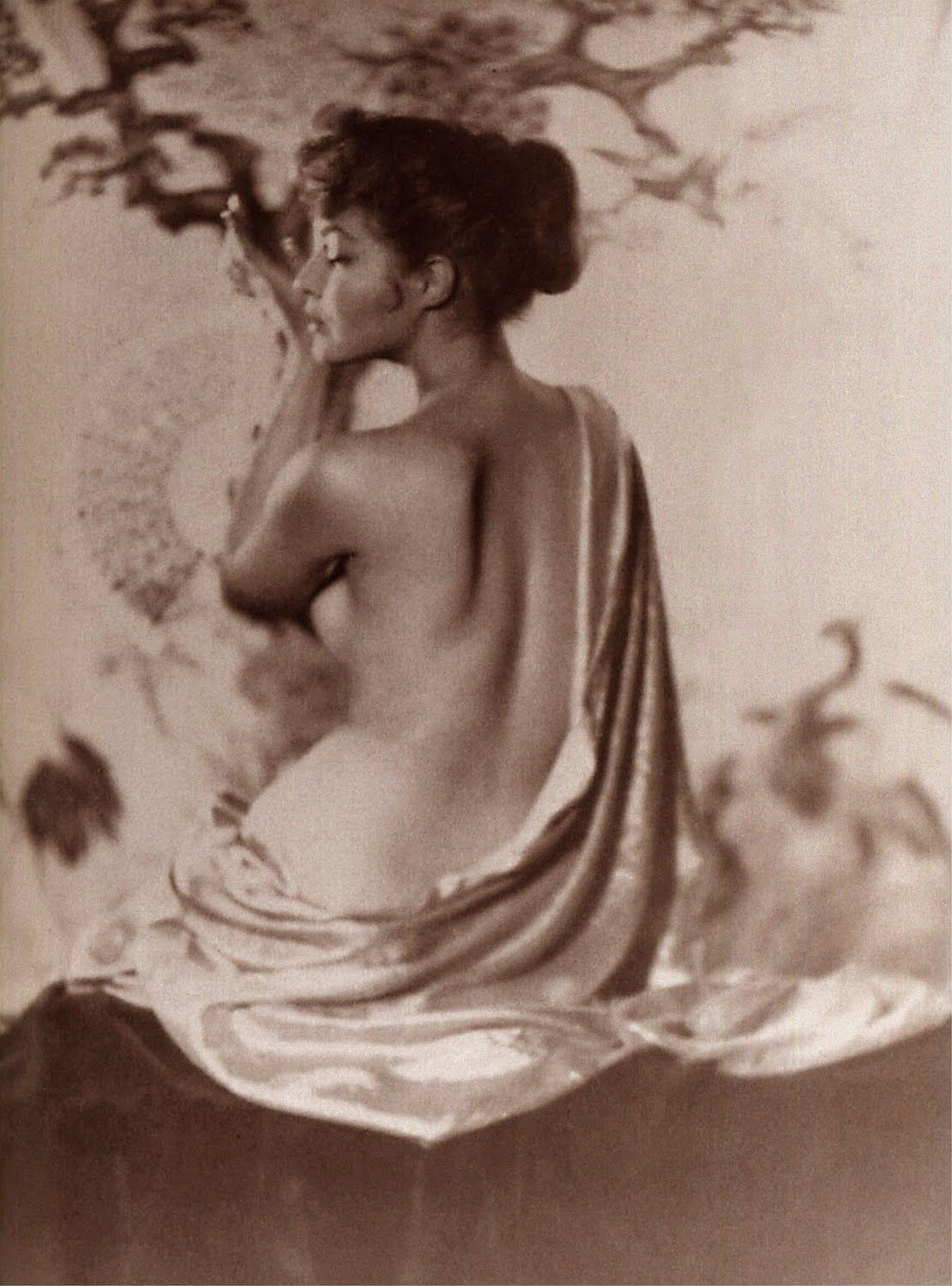 Alfred Cheney Johnston - Julie Newmar Nude Backless Dress (1920s) - 17