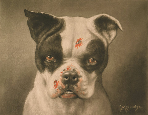 Cassius M. Coolidge - I'm a Bad Dog! What Kind of Dog are You? (1985) - 17" x 22" Fine Art Print