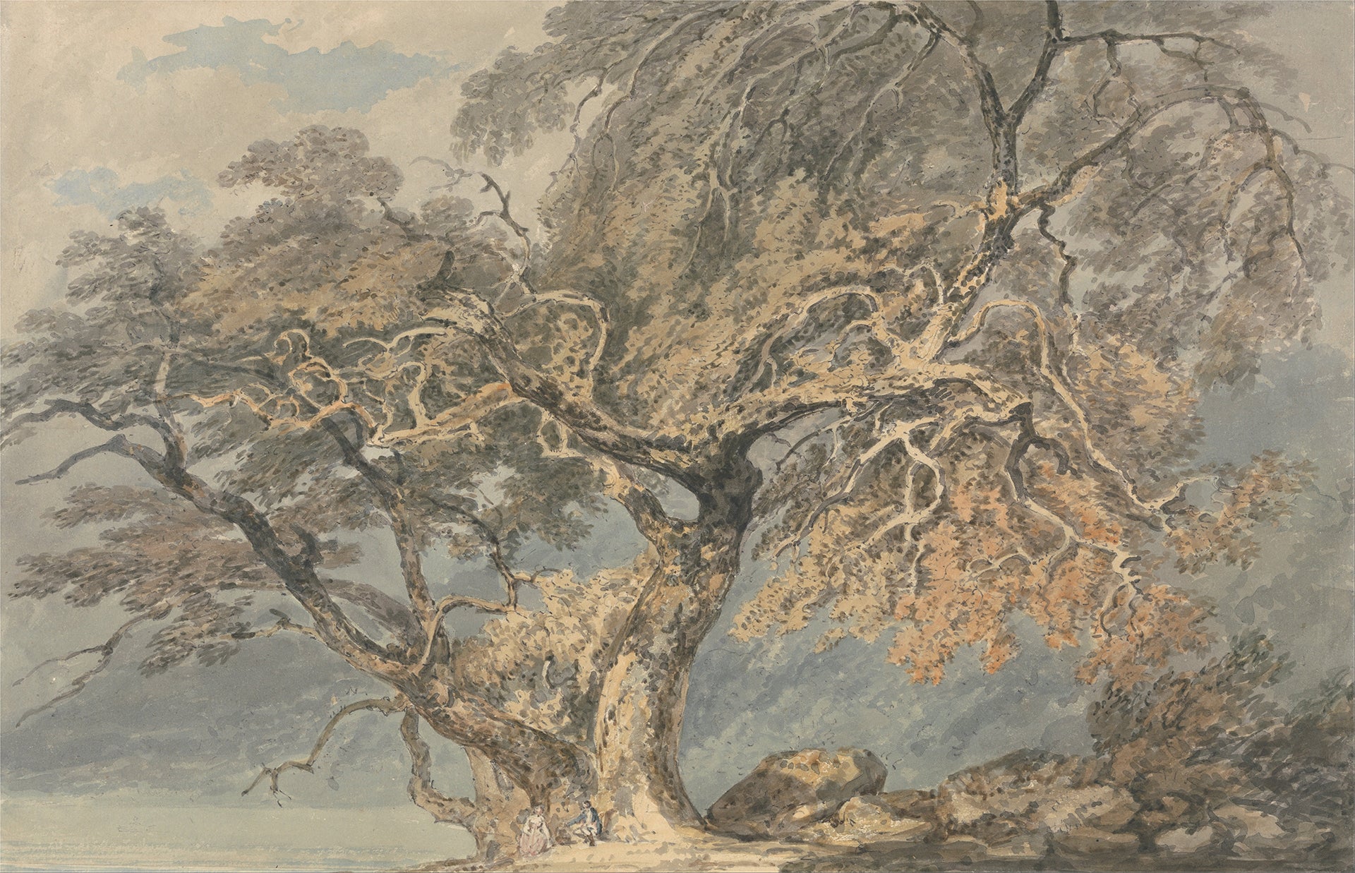 Joseph M.W. Turner - A Great Tree (1796) Romanticism - 17" x 22" Fine Art Print