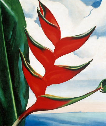 Georgia O'Keeffe - Crab Claw (1939) - 17" x 22" Fine Art Print