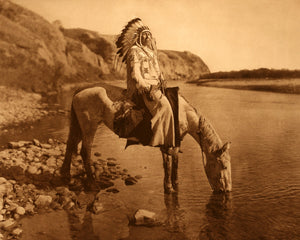 Edward Curtis - Blackfoot Siksika Indian Horse Drinks Bow River (1926) - 17"x22" Fine Art Print