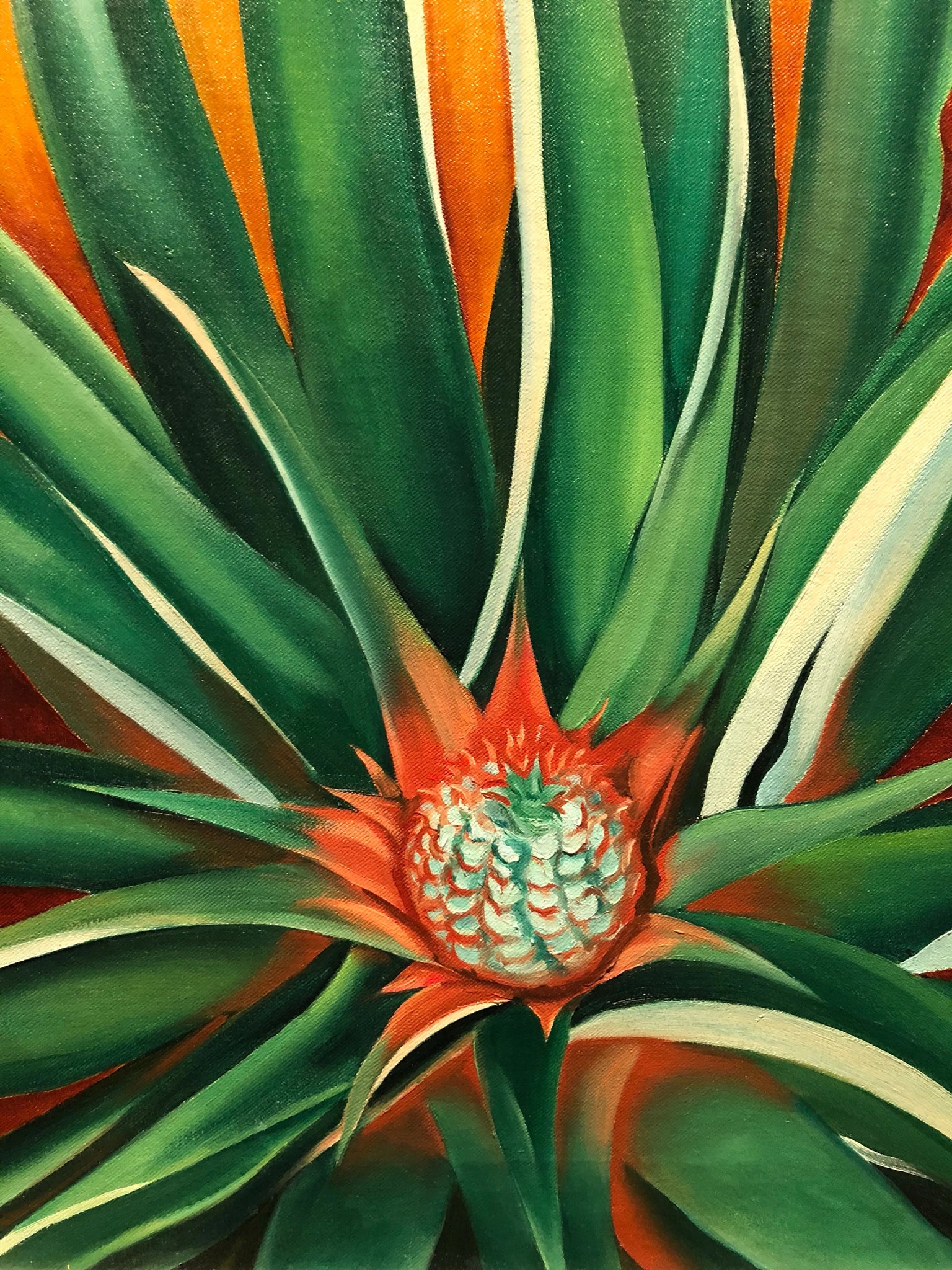 Georgia O'Keeffe - Hawaiian Pineapple Bud (1939) - 17" x 22" Fine Art Print