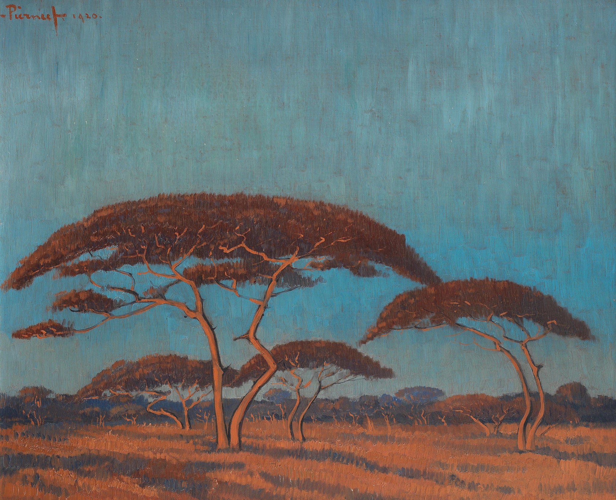 Jacobus Hendrik Pierneef - South African Acacia Trees (1920) - 17"x22" Art Print