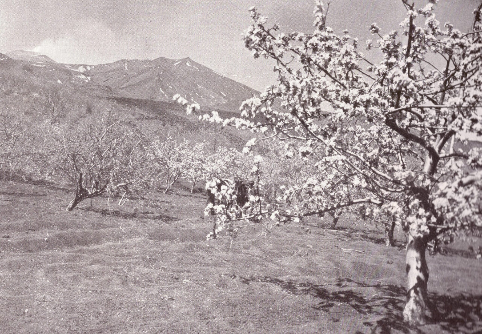 Karl Grober - Trip to Sicily, Italy (1924) Landscape - 17" x 22" Fine Art Print