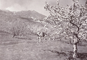 Karl Grober - Trip to Sicily, Italy (1924) Landscape - 17" x 22" Fine Art Print