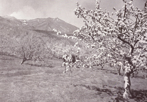 Karl Grober - Trip to Sicily, Italy (1924) Landscape - 17" x 22" Fine Art Print