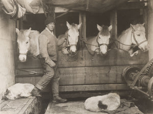 Herbert Ponting - Lawrence Oates with Ponies South Pole Expedition (1911) - 17"x22" Fine Art Print