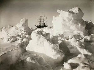 The Endurance Ship in Ice, Ernest Shackleton Expedition (1915) - 17" x 22" Print