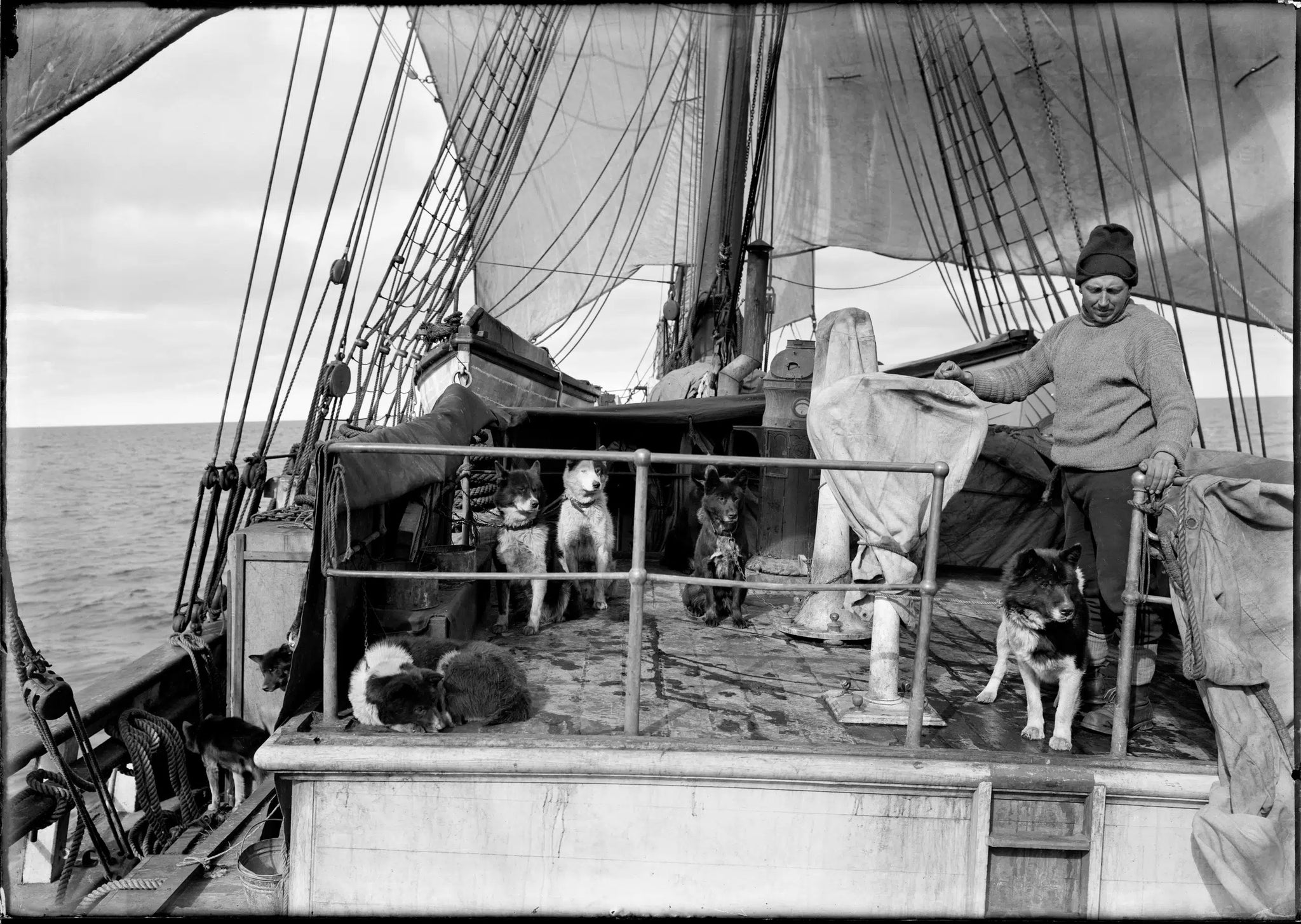 Herbert Ponting - Cecil Meares & Dogs on Terra Nova Ship (1911) - 17"x22" Print