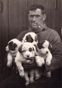 Tom Crean & Puppies on Shackleton Antarctica Expedition (1915) - 17" x 22" Print