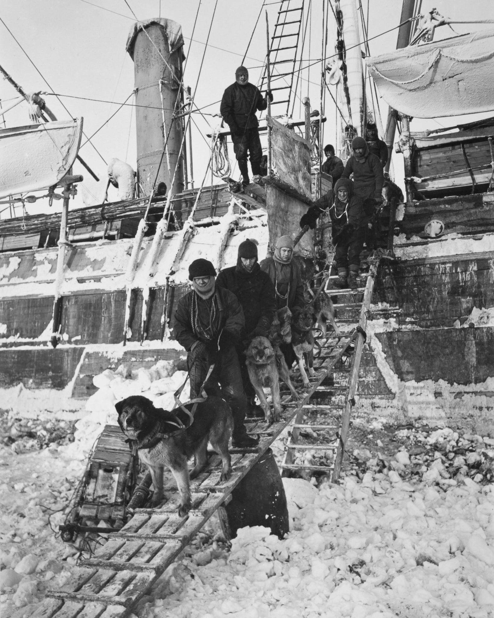 Frank Hurley - Crew Takes Dogs Off Endurance Antarctica (1914) - 17" x 22" Print