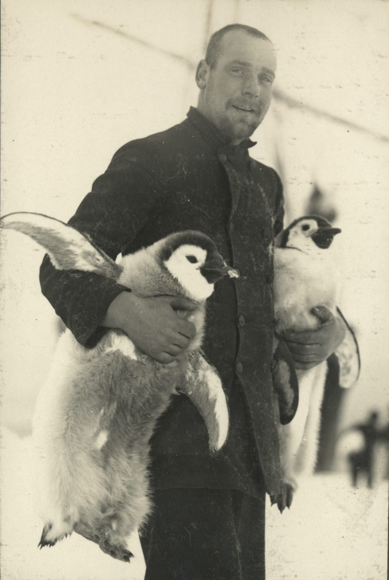 Frank Hurley - Hubert Hudson with Emperor Penguins Antarctica (1914) - 17" x 22" Fine Art Prints