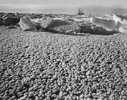 Frank Hurley - Ice Flowers Form Near Endurance Ship Antarctica (1914) - 17"x22" Fine Art Print