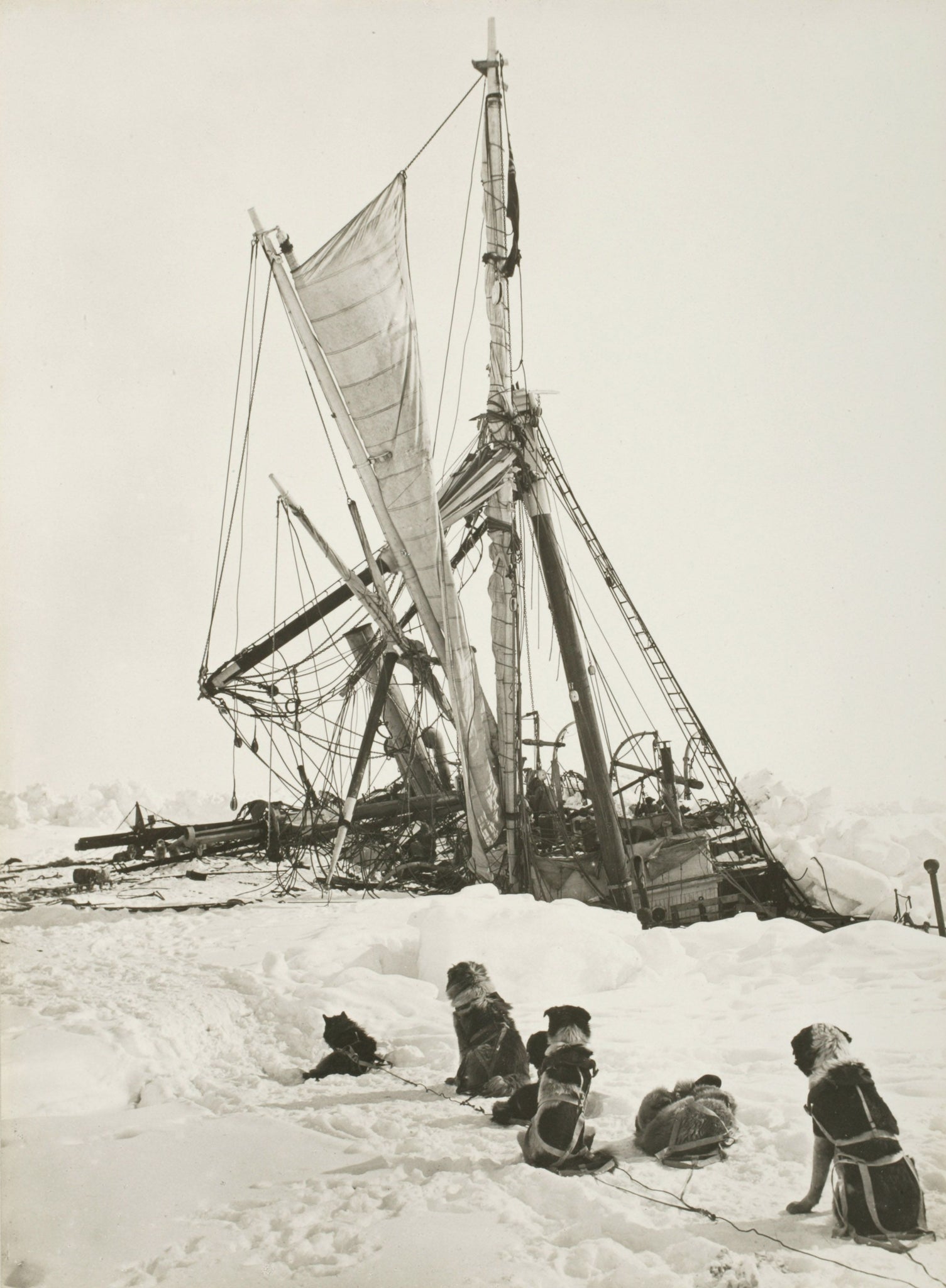 Frank Hurley - Sled Dogs @ Wrecked Endurance Ship Antarctica (1915) - 17" x 22" Fine Art Print