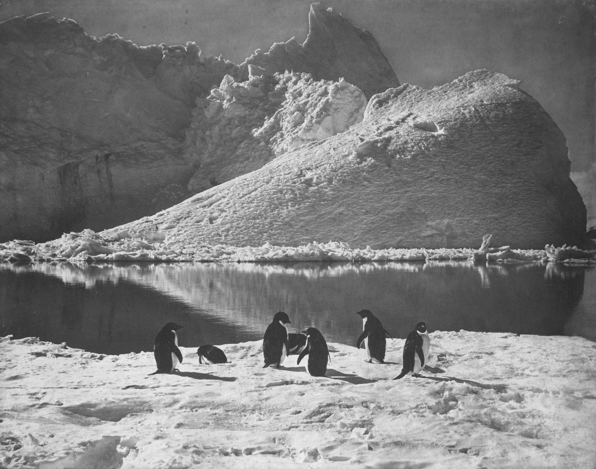 Herbert Ponting - Summertime Opening Ice & Penguins (1910) - 17" x 22" Art Print