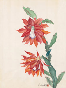 Chiura Obata - Watercolor of a Flowering Orchid Cactus (1930s) - 17" x 22" Print