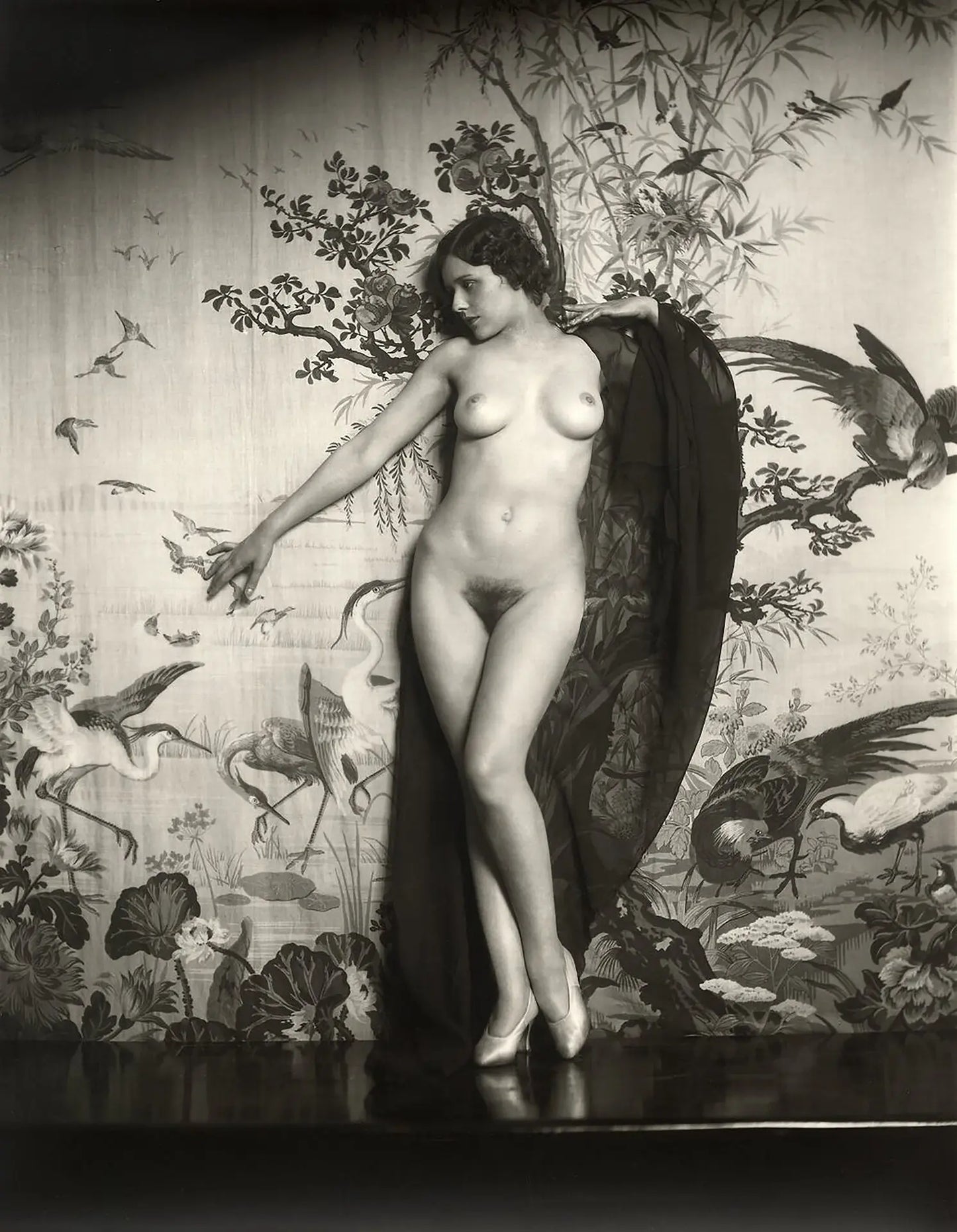 {{ product_title }} Fine Art Print | {{ product_vendor }} Jakero77 Alfred Cheney Johnston - Nude Female Against Backdrop (1925) - 17" x 22" Art Print Art Print  Jakero77