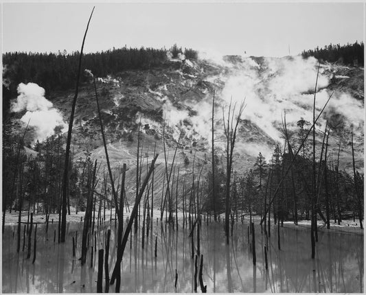 {{ product_title }} Fine Art Print | {{ product_vendor }} Jakero77 Ansel Adams - Barren Trees Rising from Water Steam Roaring Mountain Yellowstone National Park (1939) - 17"x22" Fine Art Print Art Print  Jakero77