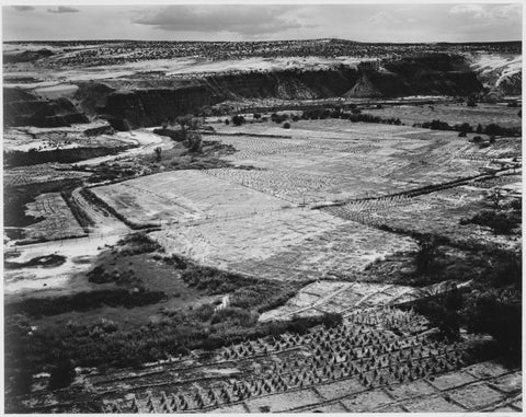 {{ product_title }} Fine Art Print | {{ product_vendor }} Jakero77 Ansel Adams - Corn Field Indian Farm near Tuba City Arizona (1941) - 17"x22" Print Art Print  Jakero77