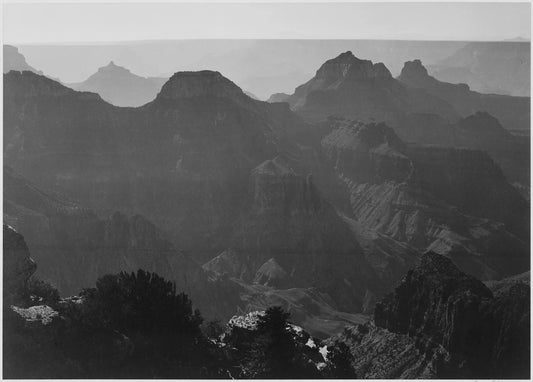 {{ product_title }} Fine Art Print | {{ product_vendor }} Jakero77 Ansel Adams - Grand Canyon National Park Arizona Shrubs (1941) - 17"x22" Art Print Art Print  Jakero77