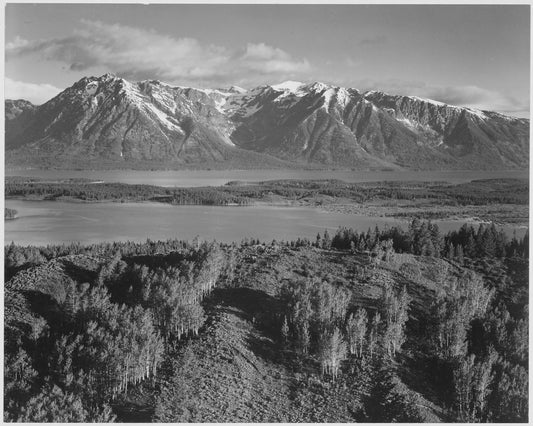 {{ product_title }} Fine Art Print | {{ product_vendor }} Jakero77 Ansel Adams - Grand Teton Mountain & Forest View (1941) - 17" x 22" Fine Art Print Art Print  Jakero77