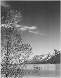 {{ product_title }} Fine Art Print | {{ product_vendor }} Jakero77 Ansel Adams - Grand Teton Tree National Park (1941) Wyoming - 17" x 22" Art Print Art Print  Jakero77