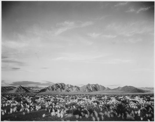 {{ product_title }} Fine Art Print | {{ product_vendor }} Jakero77 Ansel Adams - Near Death Valley Mountains Desert Shrubs (1941) - 17" x 22" Print Art Print  Jakero77
