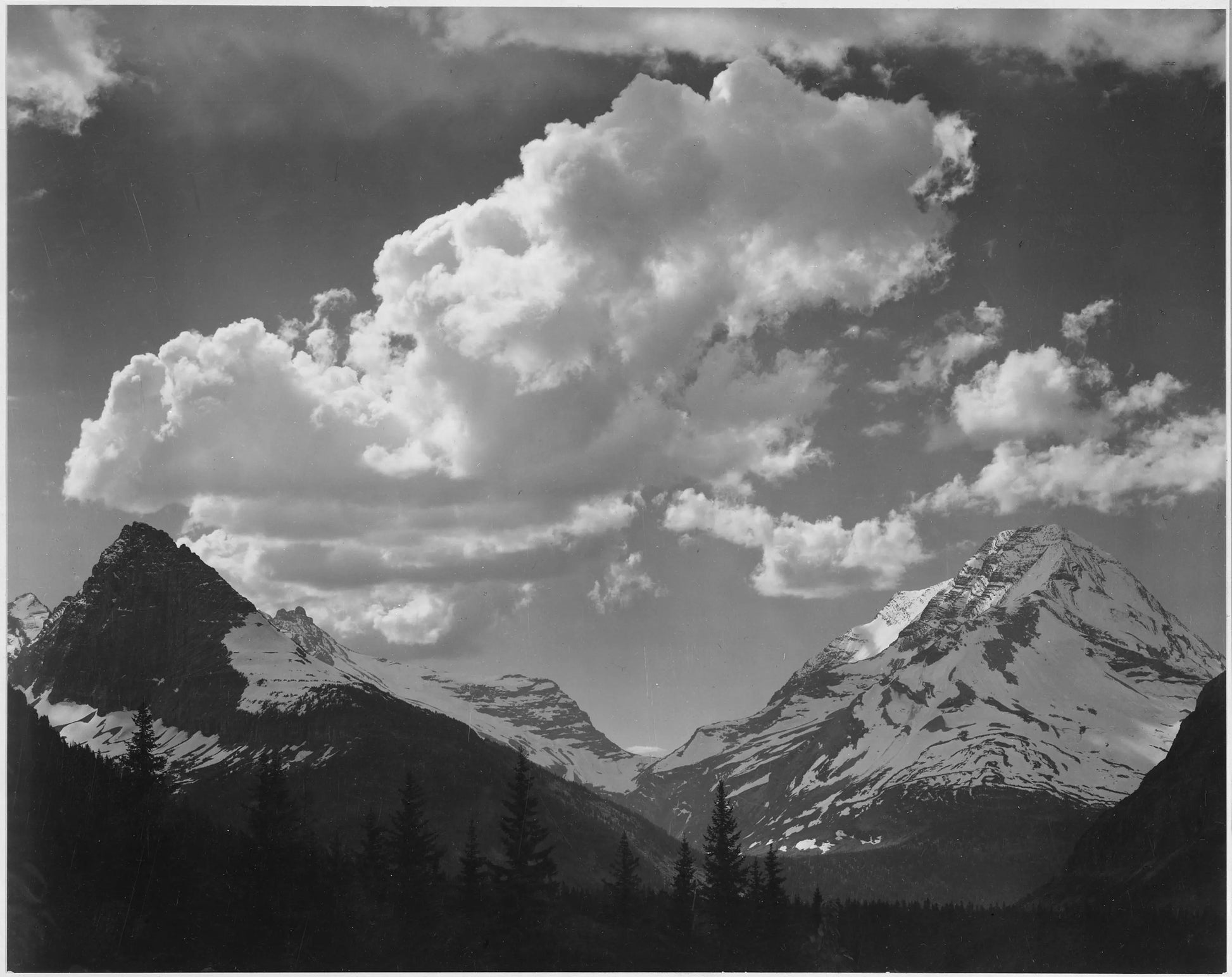 {{ product_title }} Fine Art Print | {{ product_vendor }} Jakero77 Ansel Adams - Pine Trees Snow Covered Mountain Glacier Park Montana (1941) - 17"x22" Fine Art Print Art Print  Jakero77
