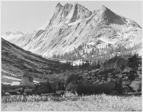 {{ product_title }} Fine Art Print | {{ product_vendor }} Jakero77 Ansel Adams - Roaring River at King's River Canyon (1936) - 17"x22" Fine Art Print Art Print  Jakero77