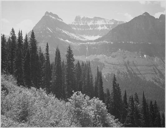 {{ product_title }} Fine Art Print | {{ product_vendor }} Jakero77 Ansel Adams - Trees Mountains Valley Glacier Park Montana (1941) - 17" x 22" Print Art Print  Jakero77
