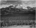 {{ product_title }} Fine Art Print | {{ product_vendor }} Jakero77 Ansel Adams - Trees & Mountain Long's Peak Colorado (1942) - 17" x 22" Art Print Art Print  Jakero77