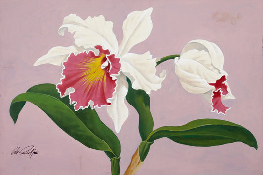 {{ product_title }} Fine Art Print | {{ product_vendor }} Jakero77 Arthur Sarnoff - Catteleya Orchids 1950s Flowers Signed - 17"x22" Fine Art Print Art Print  Jakero77