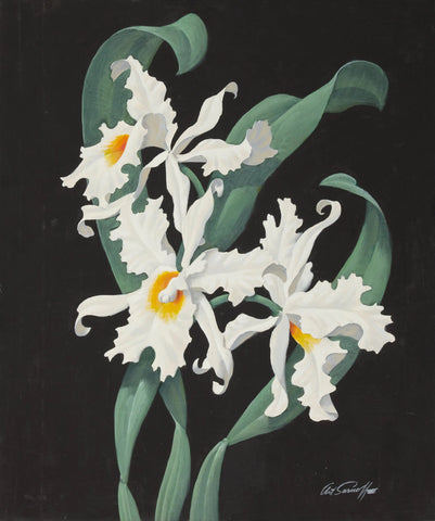 {{ product_title }} Fine Art Print | {{ product_vendor }} Jakero77 Arthur Sarnoff - Floral Christmas Orchid 1950s Signed - 17" x 22" Fine Art Print Art Print  Jakero77