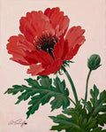 {{ product_title }} Fine Art Print | {{ product_vendor }} Jakero77 Arthur Sarnoff - Red Poppy Flower (1950s) Signed - 17" x 22" Fine Art Print Art Print  Jakero77