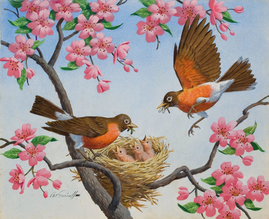 {{ product_title }} Fine Art Print | {{ product_vendor }} Jakero77 Arthur Sarnoff - Red Robins & Babies in Nest 1960s Signed - 17" x 22" Art Print Art Print  Jakero77