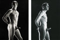 {{ product_title }} Fine Art Print | {{ product_vendor }} Jakero77 Bruce of Los Angeles Vintage Nude Tony Rogers Erection Homoerotic Gay Interest - 17" x 22" Fine Art Print - 2130 Art Print  Jakero77