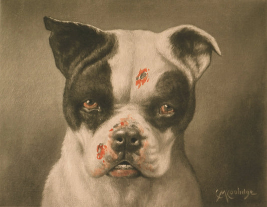 {{ product_title }} Fine Art Print | {{ product_vendor }} Jakero77 Cassius M. Coolidge - I'm a Bad Dog! What Kind of Dog are You? (1985) - 17" x 22" Fine Art Print Art Print  Jakero77