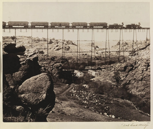 {{ product_title }} Fine Art Print | {{ product_vendor }} Jakero77 Charles Roscoe Savage - Dale Creek Bridge (1885) - 17" x 22" Fine Art Print Art Print  Jakero77