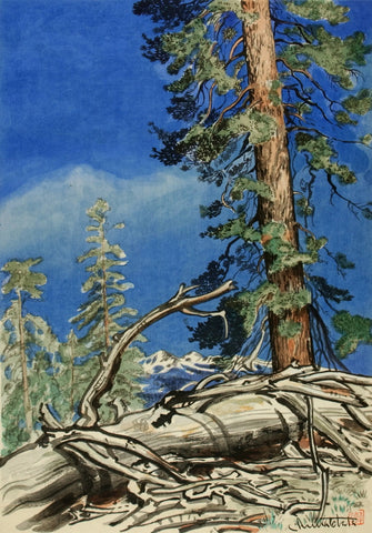 {{ product_title }} Fine Art Print | {{ product_vendor }} Jakero77 Chiura Obata - Life and Death, Porcupine Flat (1930) - 17" x 22" Fine Art Print Art Print  Jakero77
