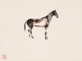 {{ product_title }} Fine Art Print | {{ product_vendor }} Jakero77 Chiura Obata - Watercolor Painting Standing Bay Horse (1930s) - 17"x22" Art Print Art Print  Jakero77